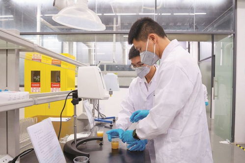 4家代表性省級重點實驗室及新型研發(fā)機構聚力創(chuàng)新研發(fā) 賦能惠州做強 2 1 現(xiàn)代產(chǎn)業(yè)集群