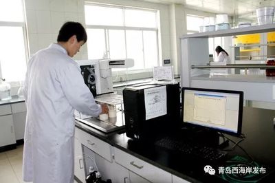 新區(qū)這家企業(yè)獲批2017年度國家地方聯合工程研究中心