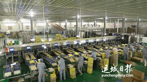 實施鄉(xiāng)村振興的新支撐 我市加快推進農產品精深加工產業(yè)高質量發(fā)展