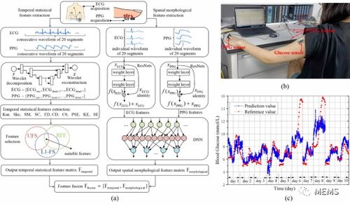 深圳先進院在基于生理信息的無創(chuàng)血糖監(jiān)測技術方面取得新進展