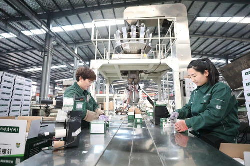 強勢霸屏 中央主流媒體聚焦邢臺工程與技術創新